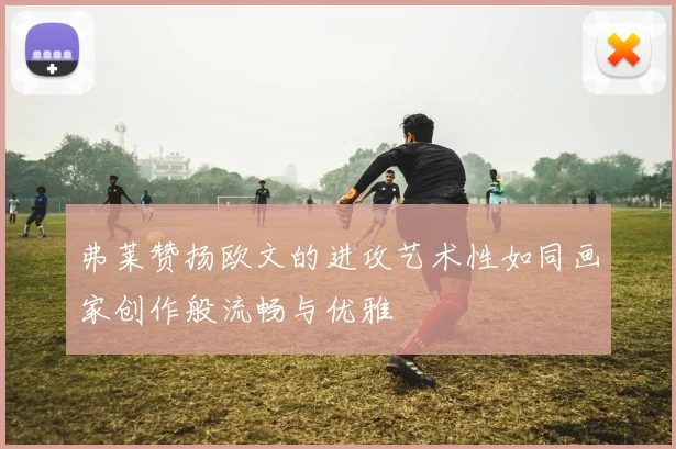 弗莱赞扬欧文的进攻艺术性如同画家创作般流畅与优雅